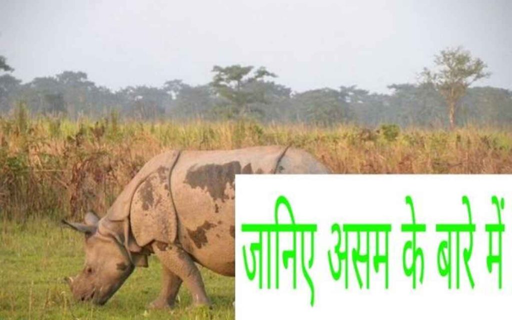 know about Assam 1