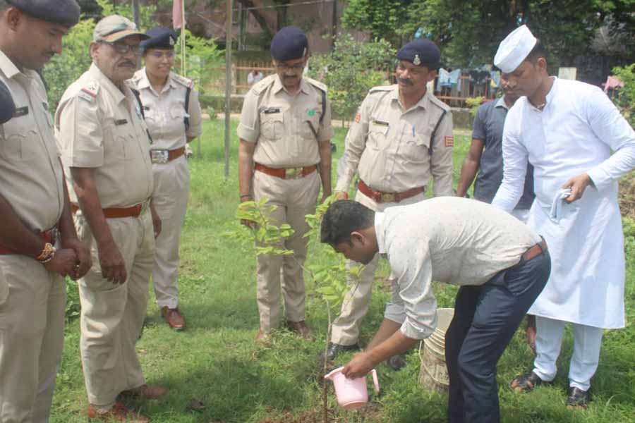 केन्द्रीय जेल में वृहद पौधरोपण