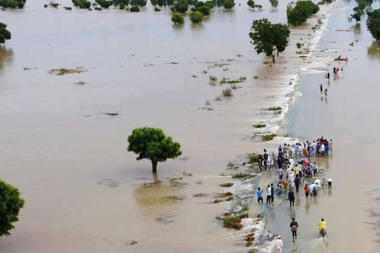 पूर्वोत्तर नाइजीरिया में बाढ़ से 400,000 से अधिक लोग प्रभावित है: संयुक्त राष्ट्र