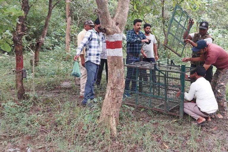 बोरवन पार्क पर डाला ताला, सैर करने वाले परेशान, गुलाब उद्यान में बढ़ने लगी रौनक