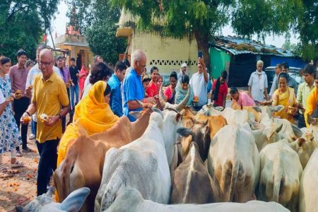 गौशाला में हुआ वृद्ध, अपाहिज गायों के लिए विशाल भंडारा