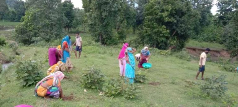 जुआं गांव की पंचायत ने निर्णय लेते हुए पर्यावरण संरक्षण के लिए एक अनूठी पहल शुरू की, पौधारोपण करने का लिया फैसला