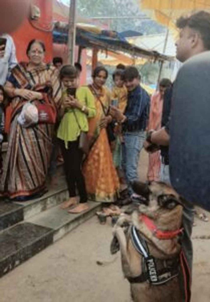 छत्तीसगढ़-कोरबा में ट्रैकर डॉग बाघा पहुंचा माता के दरबार