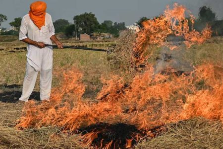 सैनी सरकार की सख्ती के बाद प्रदेश में काम हुए पराली जलाने के मामले, 34 नई FIR हुई दर्ज