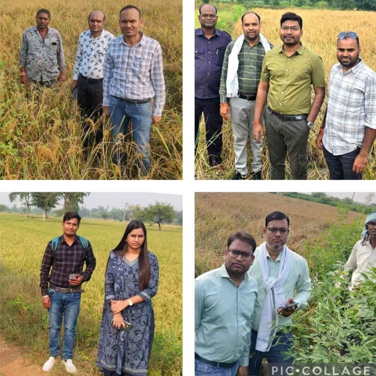 छत्तीसगढ़-बेमेतरा के एसडीएम ने पटवारी को फसल गिरदावरी में लापरवाही पर किया निलंबित