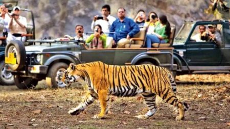 जंगल सफारी और नाइट स्टे के लिए जिम कॉर्बेट नेशनल पार्क में हो जाएं तैयार, खुल रहा ढिकाला जोन