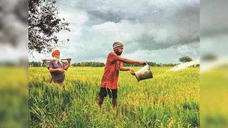 भारतीय एग्रोकेमिकल सेक्टर अगले वित्त वर्ष में 9 प्रतिशत की दर से बढ़ने का अनुमान!