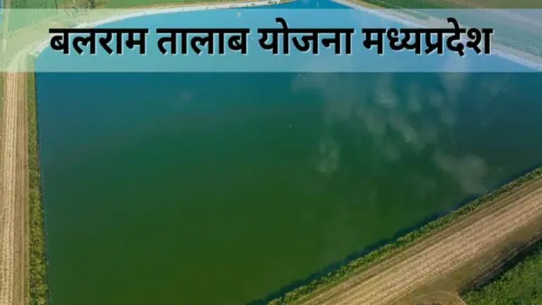 राज्य योजना बलराम तालाब योजना के तहत खेत में तालाब बनाने पर एक लाख रूपये तक मिलती है अनुदान राशि