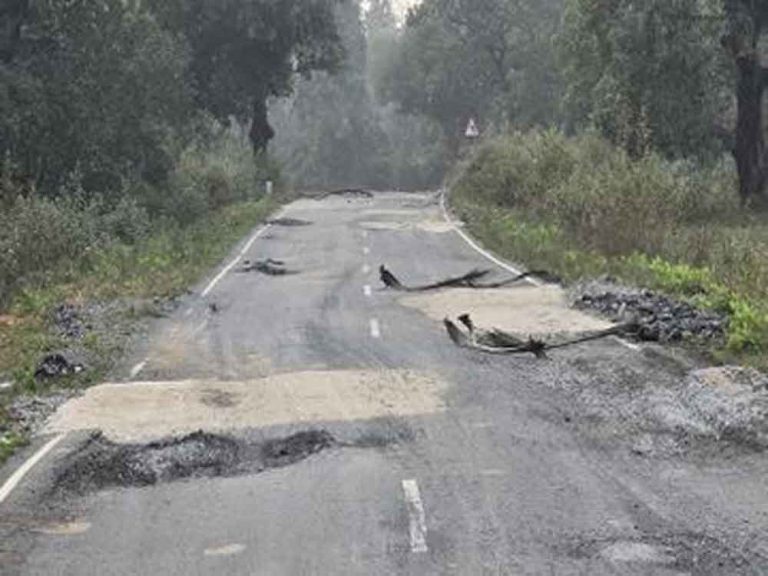 छत्तीसगढ़-बीजापुर में सड़क में भ्रष्टाचार पर एसडीओ व सब इंजीनियर सस्पेंड और ईई को नोटिस