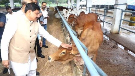 मुख्यमंत्री डॉ. मोहन यादव ने कहा- प्रदेश सरकार गौ-संरक्षण एवं गौ-संवर्धन के लिए निरंतर कार्य कर रही है