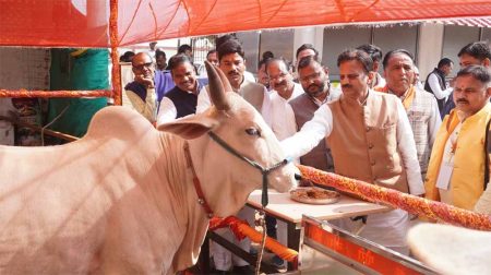 उप मुख्यमंत्री राजेन्द्र शुक्ल ने अभयारण्य की व्यवस्थाओं का लिया जायजा